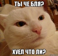 ты че бля? хуел что ли?