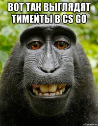 вот так выглядят тимейты в cs go 