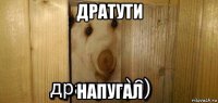 дратути напугал