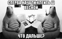 сперва начали клеить ш весной что дальше?