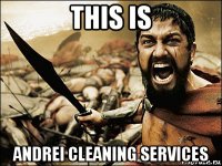 this is andrei cleaning services