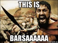 this is barsaaaaaa