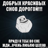 добрых красивых снов дорогой!!! приду к тебе во сне жди...очень люблю целую