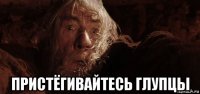  пристёгивайтесь глупцы