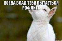 когда влад тебя пытаеться рофлить 