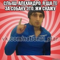 слыш, алехандро, я ща те за собаку это, жи скажу 