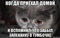 когда приехал домой и вспомнил, что забыл запеканку в тумбочке