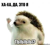  тыыыы?