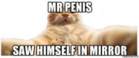 mr penis saw himself in mirror