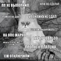 пп не выполнил турышева -30 урожайку не сдал сж отключили на опс жарко нпф не сделал пропуск платежа элемент не дают маша не покупает мне брюки шаверма подорожала