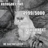 колобок слил реконнект 4999/5000 не засчитался      