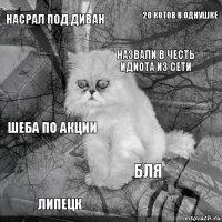 Насрал под диван  Назвали в честь идиота из сети Липецк шеба по акции 20 котов в однушке бля   