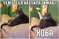 чему тебя научила гимна? 