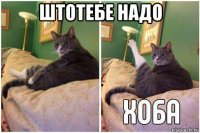 штотебе надо 