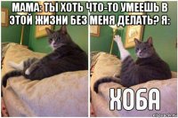 мама: ты хоть что-то умеешь в этой жизни без меня делать? я: 