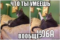 что ты умеешь вообще?