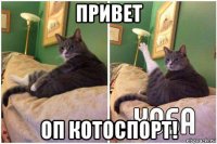 привет оп котоспорт!