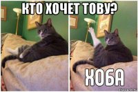 кто хочет тову? 