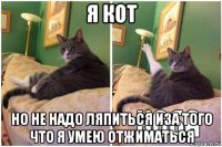 я кот но не надо ляпиться иза того что я умею отжиматься