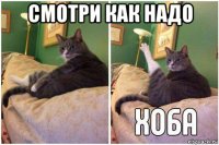 смотри как надо 