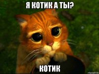 я котик а ты? котик