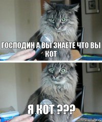 господин а вы знаете что вы кот я кот ???