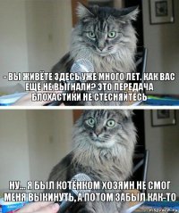 - Вы живёте здесь уже много лет. Как вас ещё не выгнали? Это передача блохастики не стесняйтесь Ну... Я был котёнком хозяин не смог меня выкинуть, а потом забыл как-то