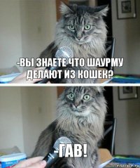 -вы знаете что шаурму делают из кошек? -ГАВ!