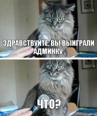 здравствуйте, вы выиграли админку ЧТО?