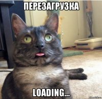 перезагрузка loading...