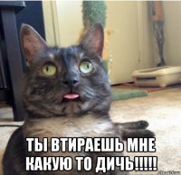  ты втираешь мне какую то дичь!!!!!