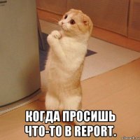  когда просишь что-то в report.