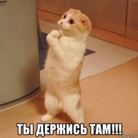  ты держись там!!!