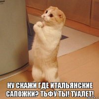  ну скажи где итальянские сапожки? тьфу ты! туалет!