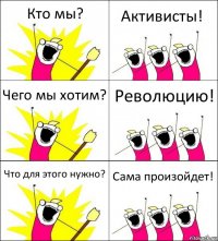 Кто мы? Активисты! Чего мы хотим? Революцию! Что для этого нужно? Сама произойдет!