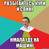 розбігайтесь кури й свині нмала іде на машині