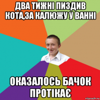 два тижні пиздив кота,за калюжу у ванні оказалось бачок протікає