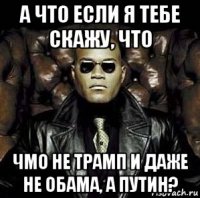 а что если я тебе скажу, что чмо не трамп и даже не обама, а путин?