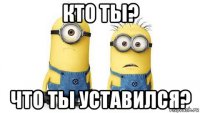 кто ты? что ты уставился?