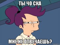 ты чо ска мне не отвечаешь?