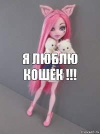 Я люблю кошек !!!