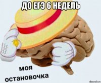 до егэ 6 недель 