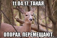 11.04.17. такая. опорах. перемещают.