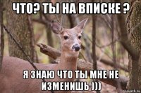 что? ты на вписке ? я знаю что ты мне не изменишь )))