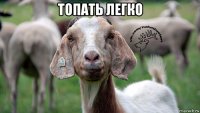 топать легко 