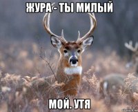 жура - ты милый мой. утя