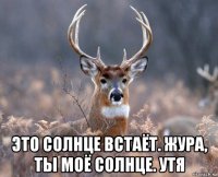  это солнце встаёт. жура, ты моё солнце. утя