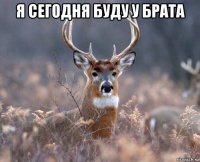 я сегодня буду у брата 