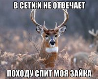 в сети и не отвечает походу спит моя зайка