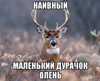 наивный маленький дурачок олень